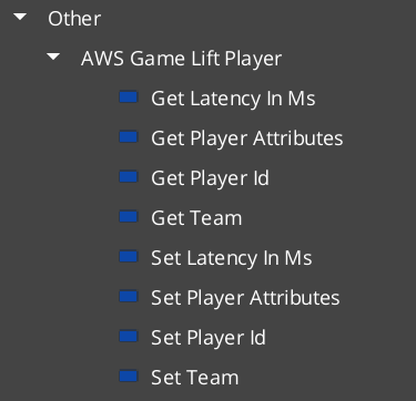 Nodes names in AWS Game Lift Player category displayed with spaces